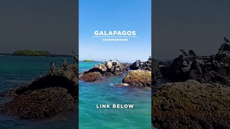 #TommyTravelz #travelnow #traveltips #galapagos #sancristobal #santacruz #islabaltra #isabelaisland